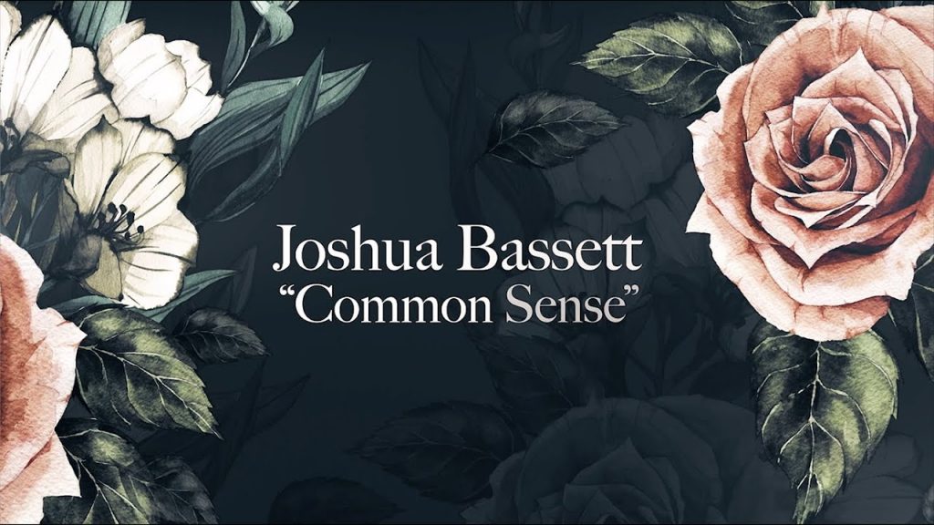 joshua bassett commmon sense music video