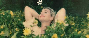 katy perry daisies