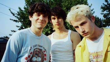 wallows