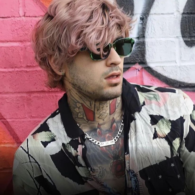 Everything You Need to Know About Zayn's New Sunglasses Collection