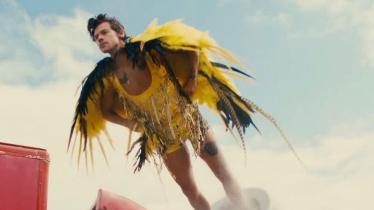 Harry Styles Soars as Big Birdy in Daylight Music Video, Illuminating the  World!