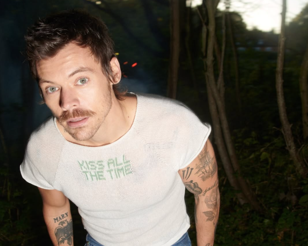 harry styles